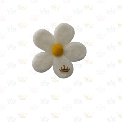 Daisy Flowers
