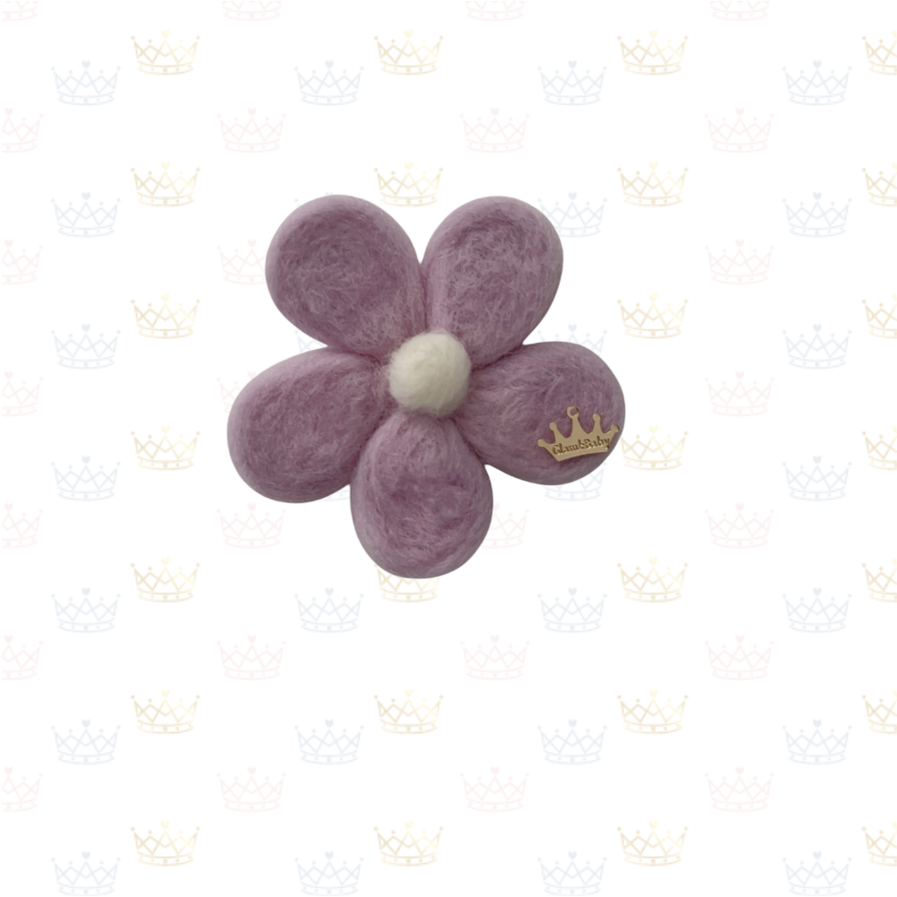 Daisy Flowers